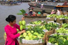 CAI RANG FLOATING MARKET AND MEKONG DELTA LUXURY 2-DAY TOUR