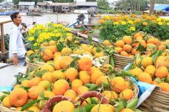 CAI RANG FLOATING MARKET AND MEKONG DELTA LUXURY 2-DAY TOUR