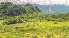 PU LUONG NATURAL RESERVE DISCOVER TOUR FROM MAI CHAU