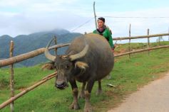 FROM HANOI: 2-DAY SAPA CULTURAL EXCHANGE TOUR WITH HOMESTAY 