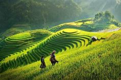 FROM HANOI: 2-DAY OVERNIGHT SAPA TOUR BY LUXURY TRANSFER