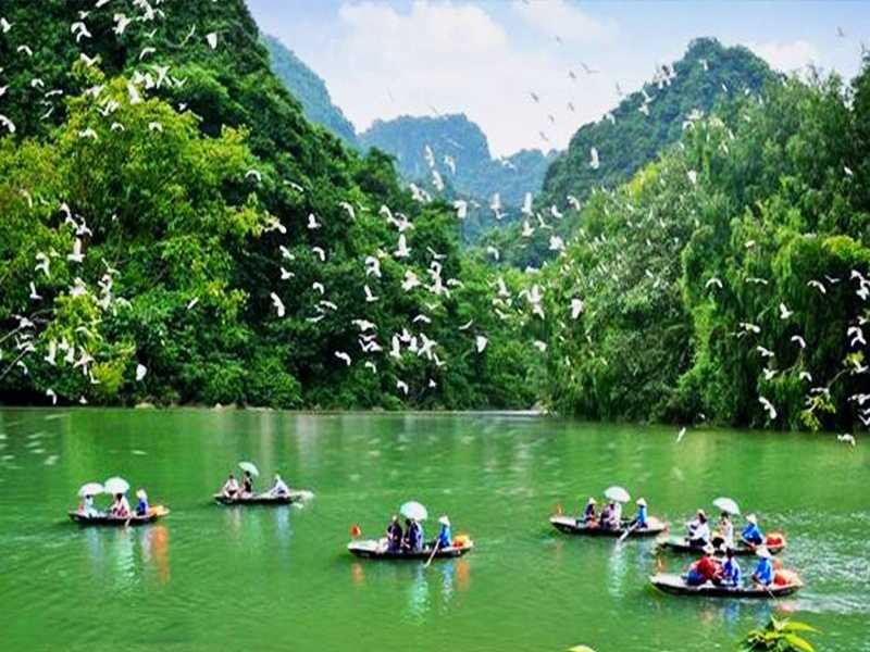 Hanoi - Hoa Lu - Tam Coc Grottoes - Mua Cave - Thung Nham Bird Garden - Ninh Binh Tours 2 Days 1 Night