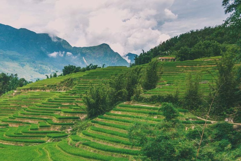 SAPA HILL TRIBES 2-DAY TOURS FROM HANOI BY OVERNIGHT TRAIN