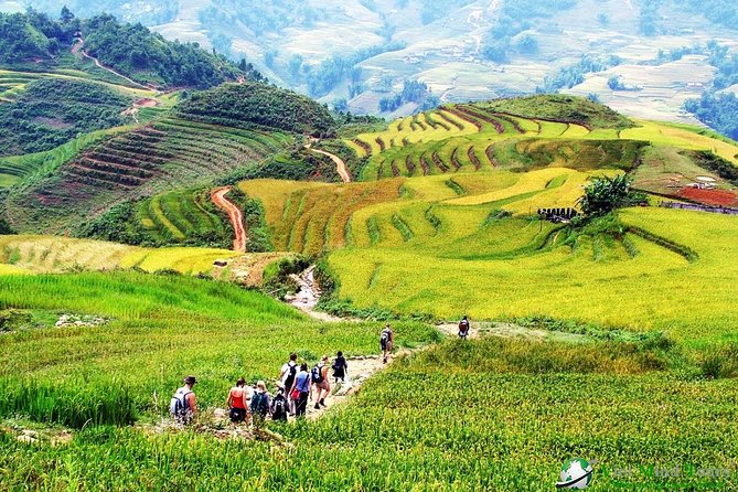 2N1D TREKKING SAPA LOCAL VILLAGE TOUR FROM HANOI WITH DCAR BUS TRANSFERS