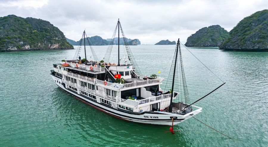 Oasis Bay Party Cruise 2 Days/1 Night