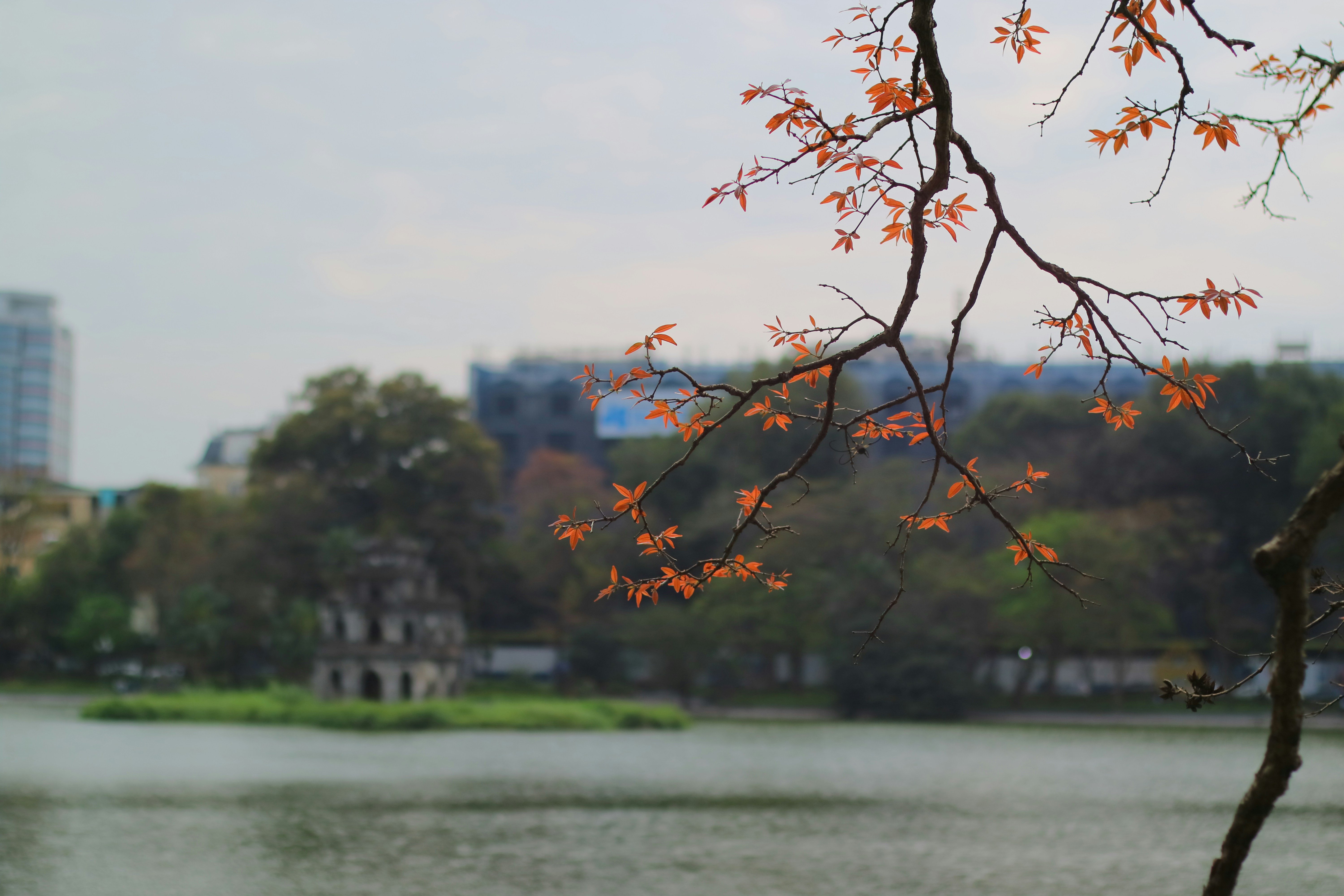 Ha Noi City