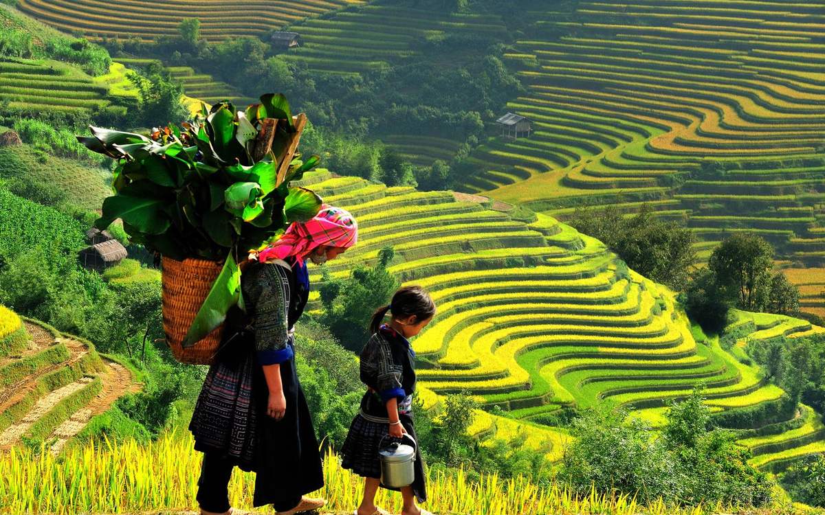 Sapa Tour By Train - 3 Nights 2 Days - With Bac Ha Market