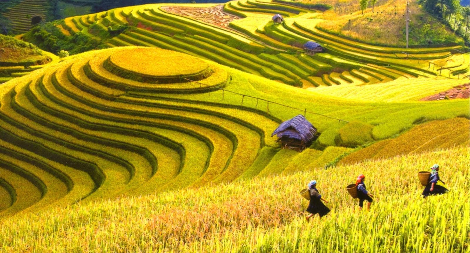 Hanoi - Mai Chau - Pu Luong Package Tours 5 Days 4 Nights
