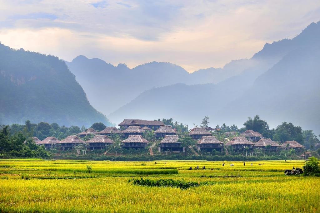 Hanoi - Mai Chau - Halong Bay Package Tours 5 Days 4 Nights