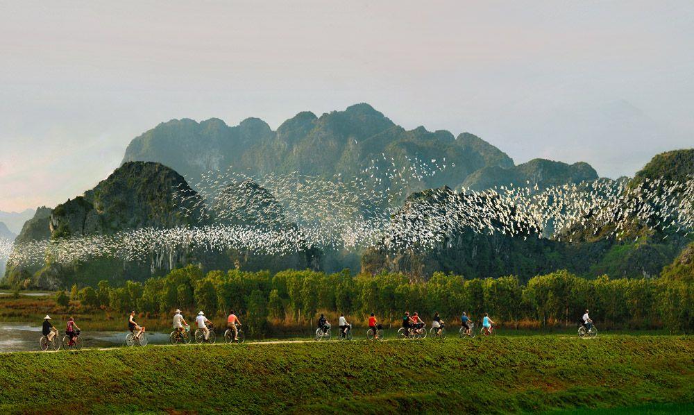Ninh Binh Tours 2 Days 1 Night (Hanoi - Hoa Lu - Tam Coc Grottoes - Mua Cave - Thung Nham Bird Garden)