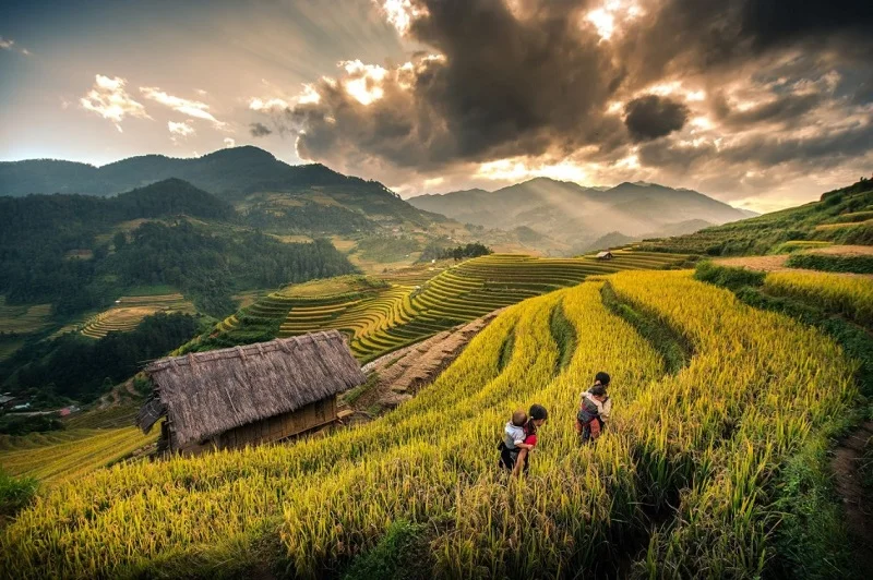 Sapa Tour 2 Days 1 Night in Sapa (By Bus - Option 1)