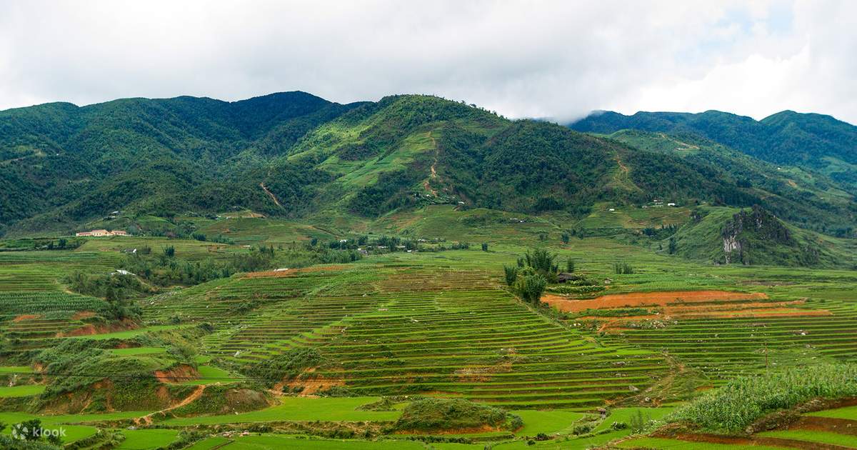 Sapa Tour 1 Day - Ma Tra Village - Ta Phin Village